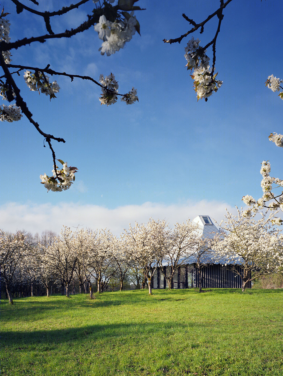 亭子住宅-9