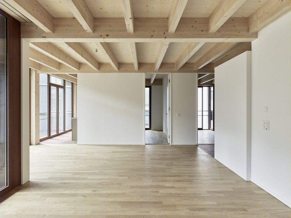 瑞士 Basel 市迈恩加斯住房项目-28