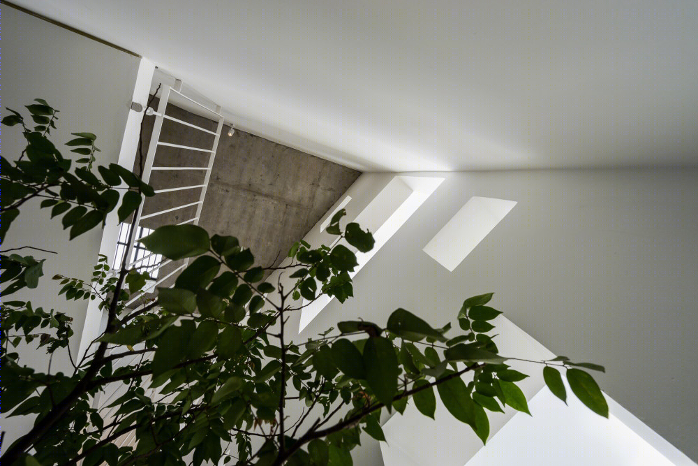 3·5 · 9·9 房子-35