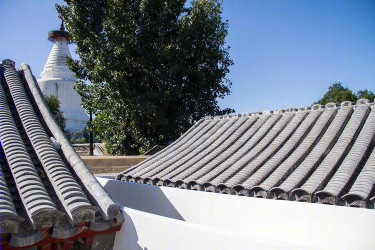 北京胡同共享庭院-13