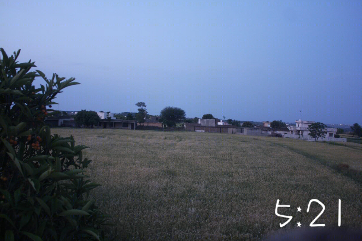 日出到日落·时间推移中的设计魅力-3