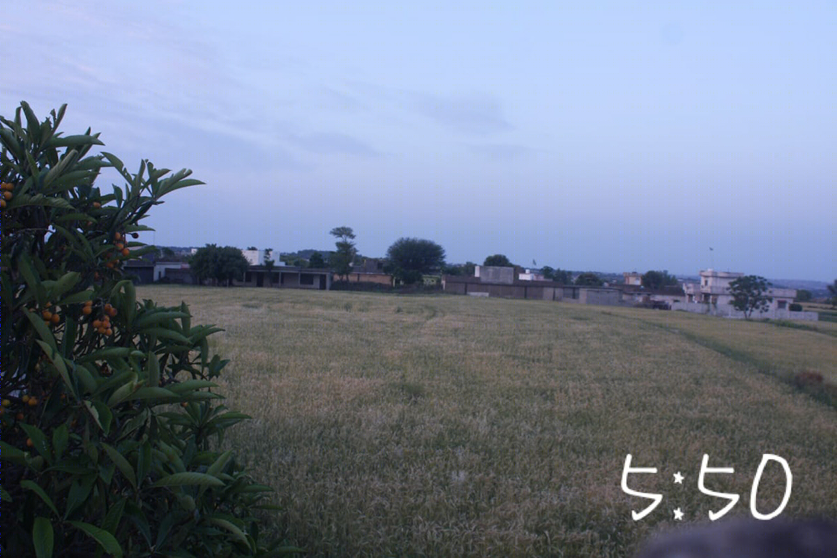 日出到日落·时间推移中的设计魅力-6