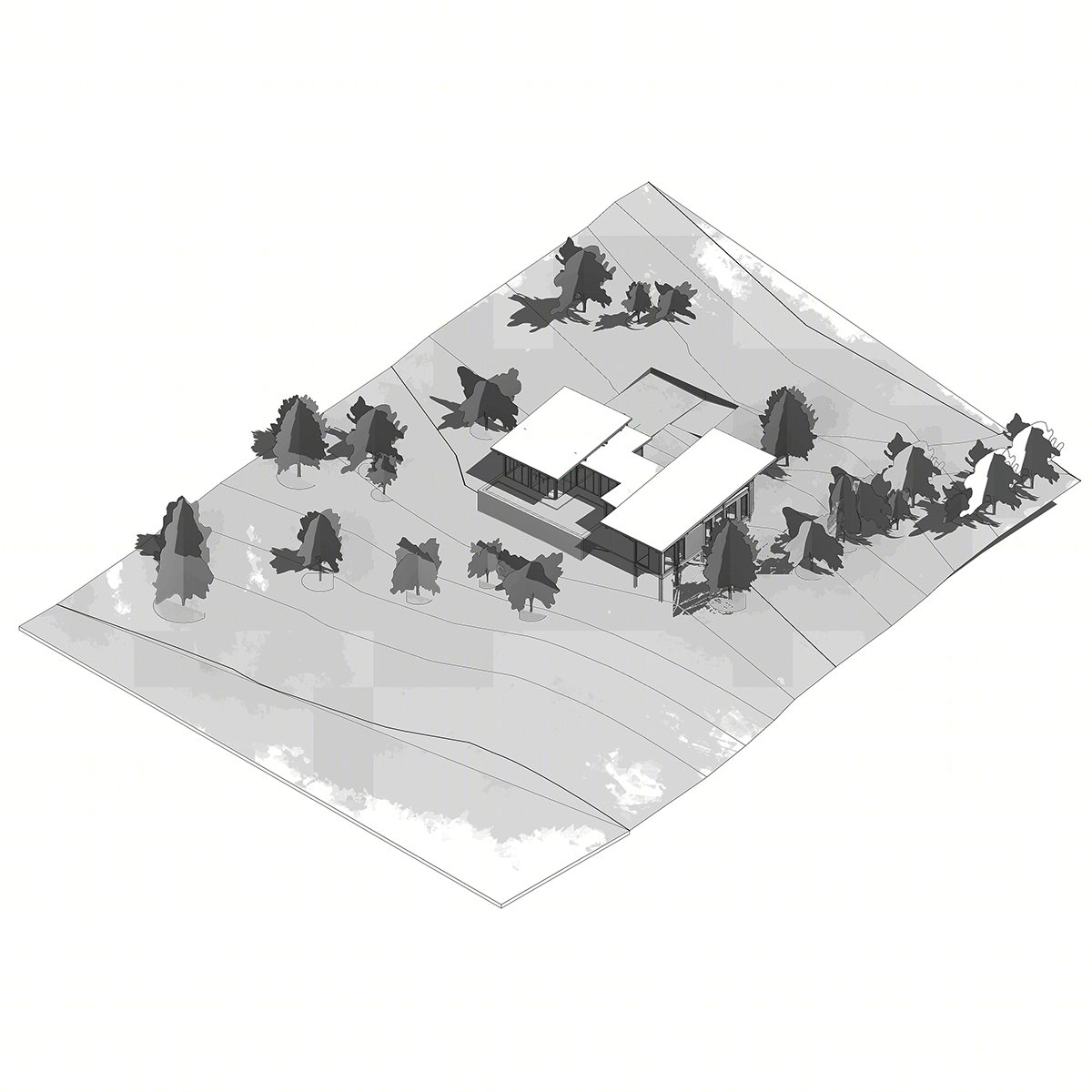 哥伦比亚平衡之家丨哥伦比亚昆迪纳马卡丨Ana María Pedraza 等-5