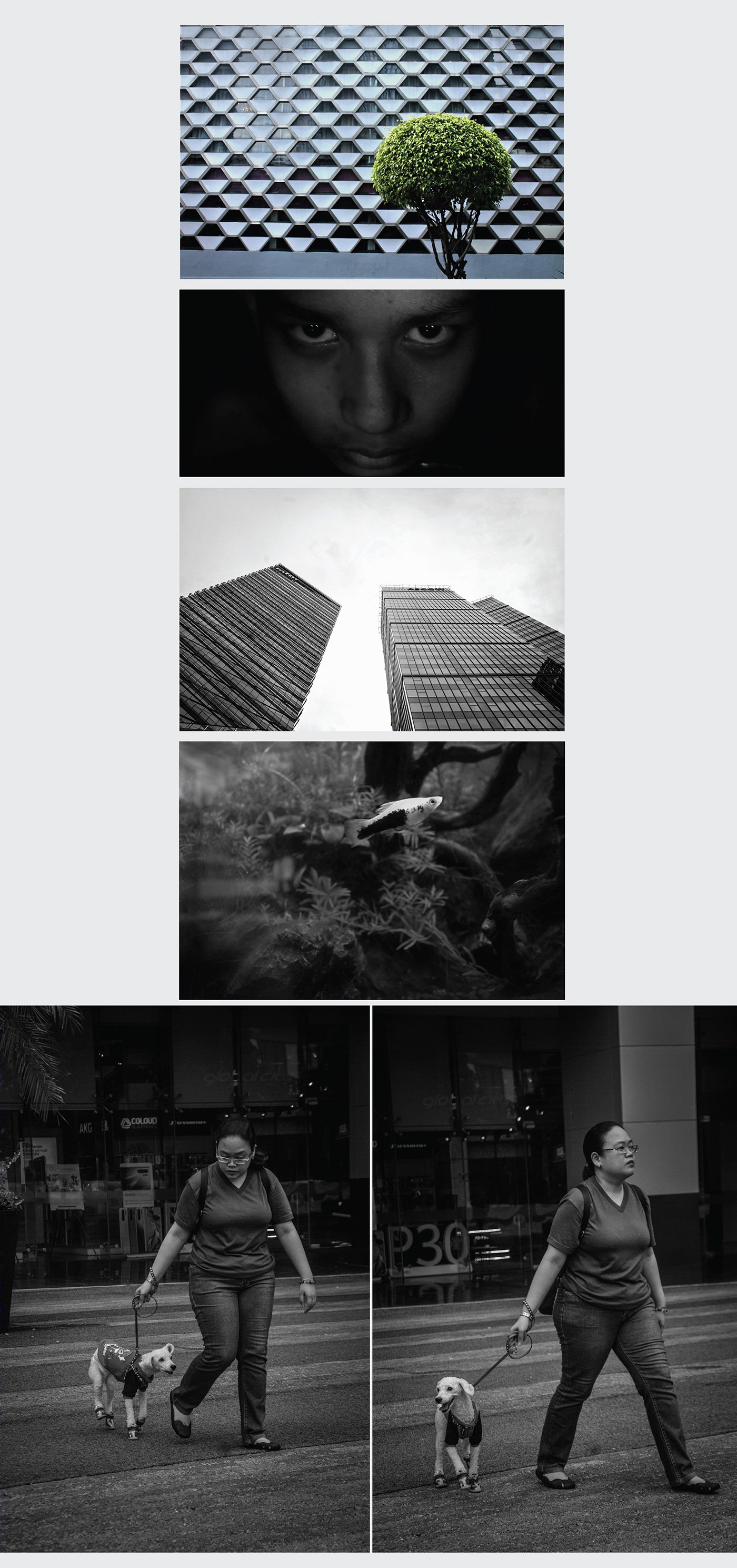 打造创意摄影工作室-9