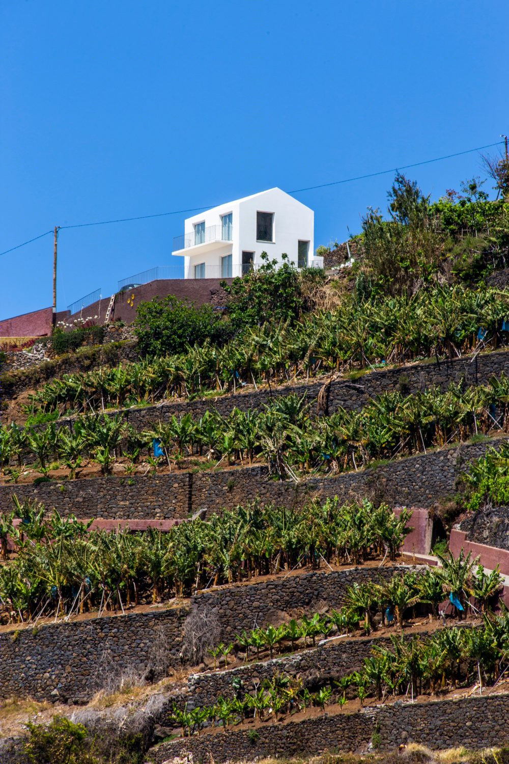 庞塔多索尔张垌之家/AA.Arquitectos 设计-15