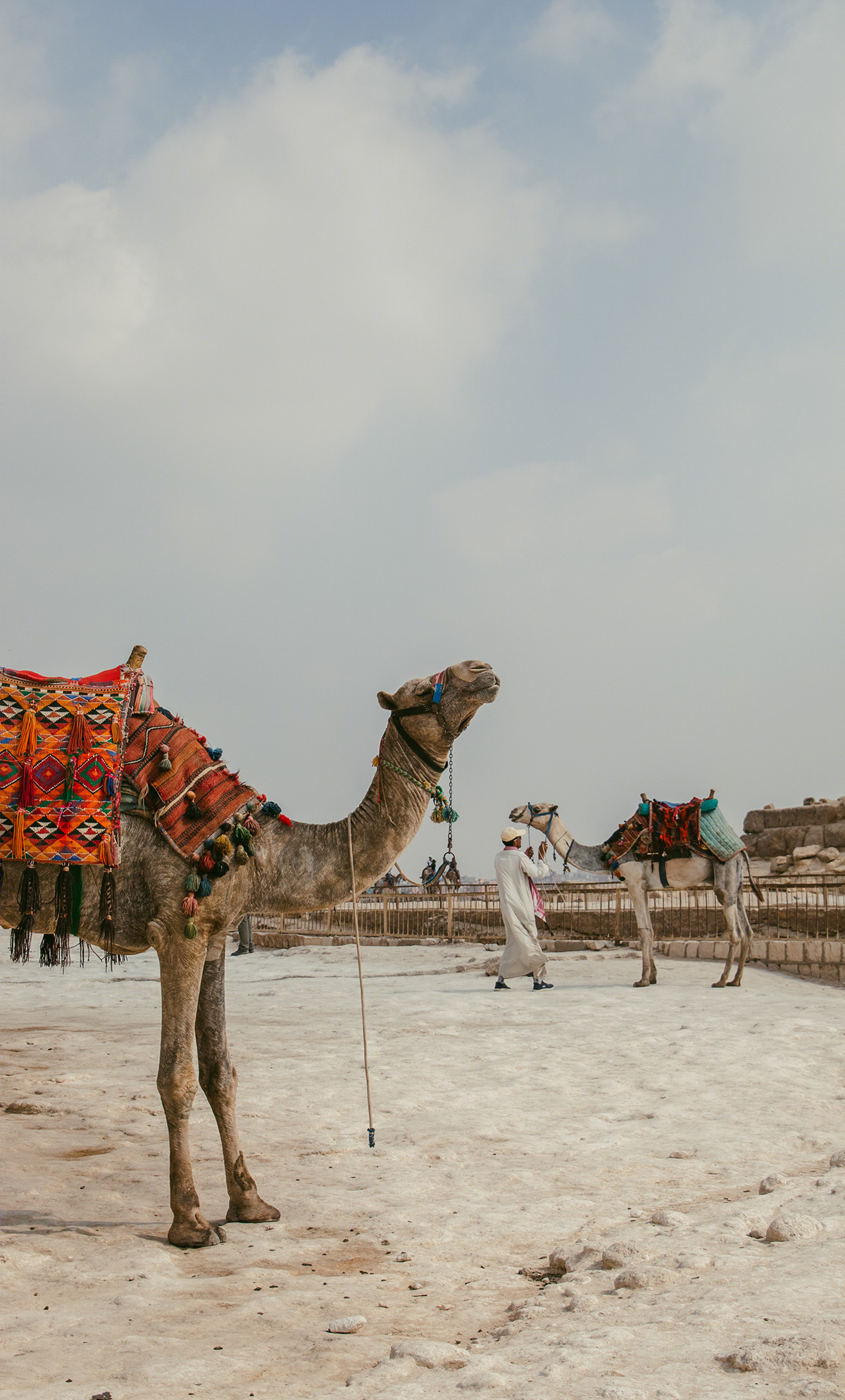 Travel l Egypt 2019-0