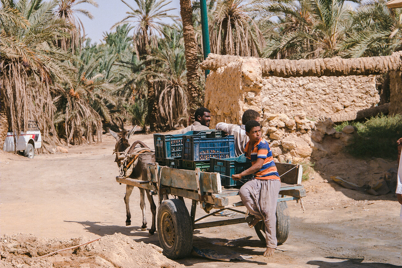 Travel l Egypt 2019-6