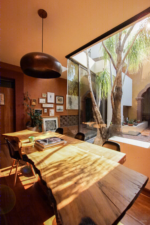 Ceiba House 扩建-19