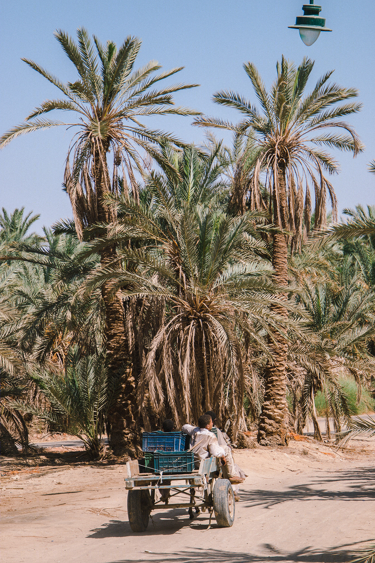 Travel l Egypt 2019-7