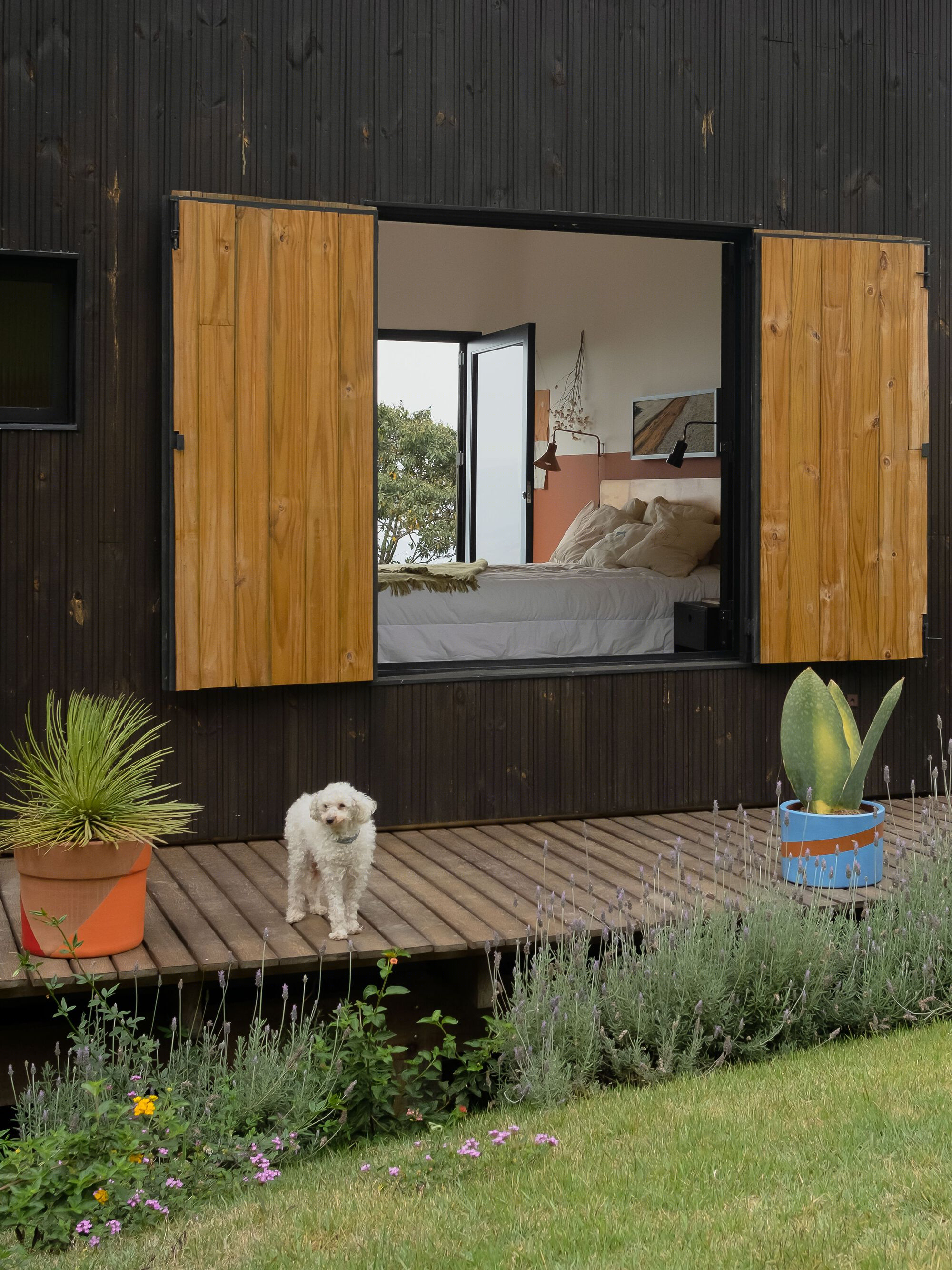 巴西 Cancha House-34