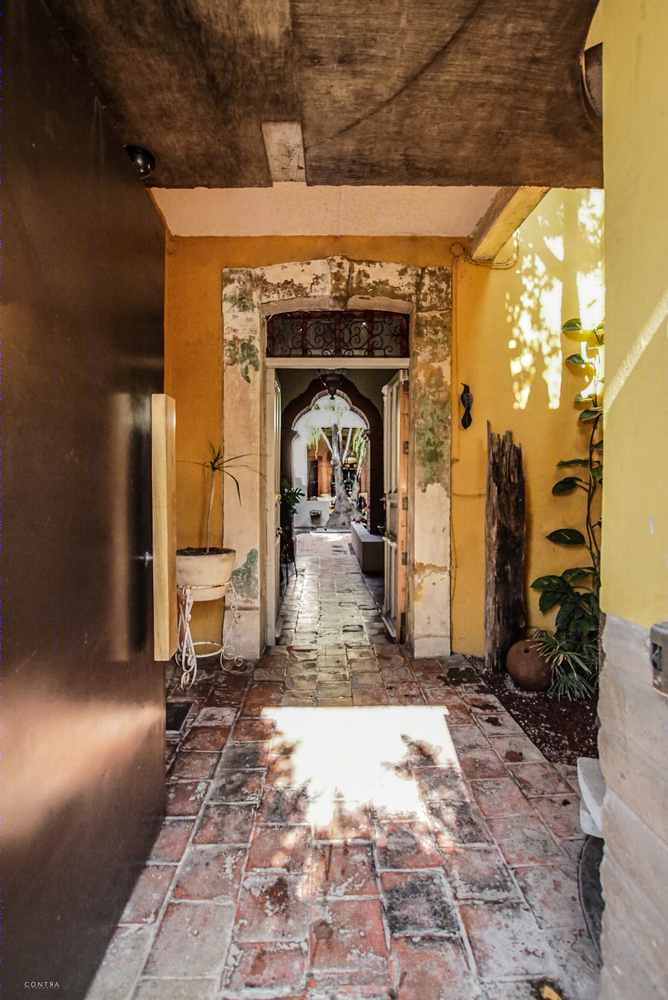Ceiba House 扩建-57