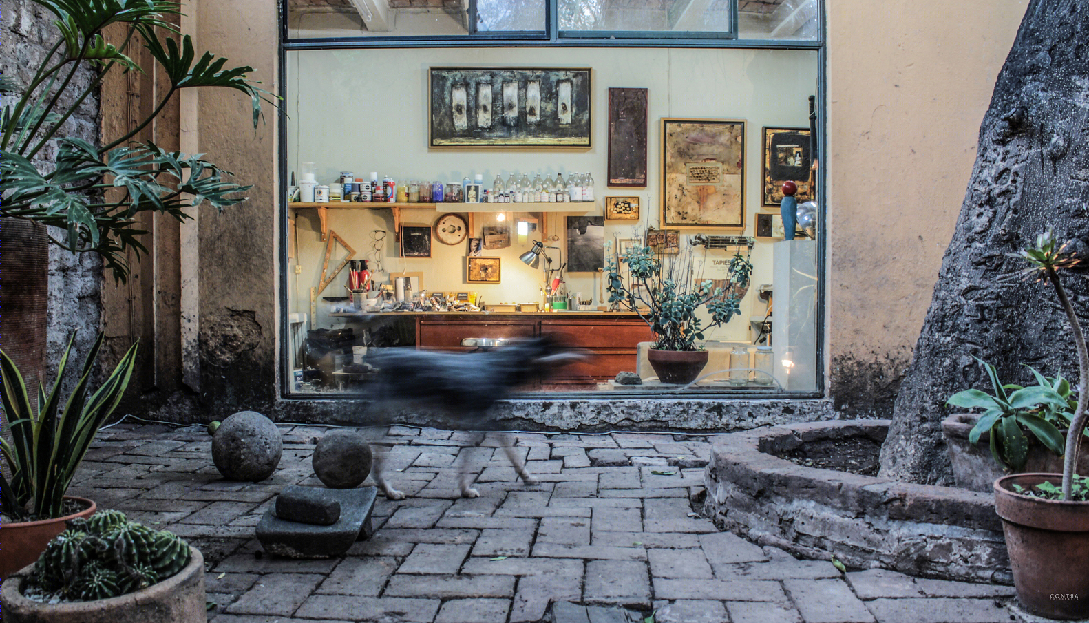 Ceiba House 扩建-59