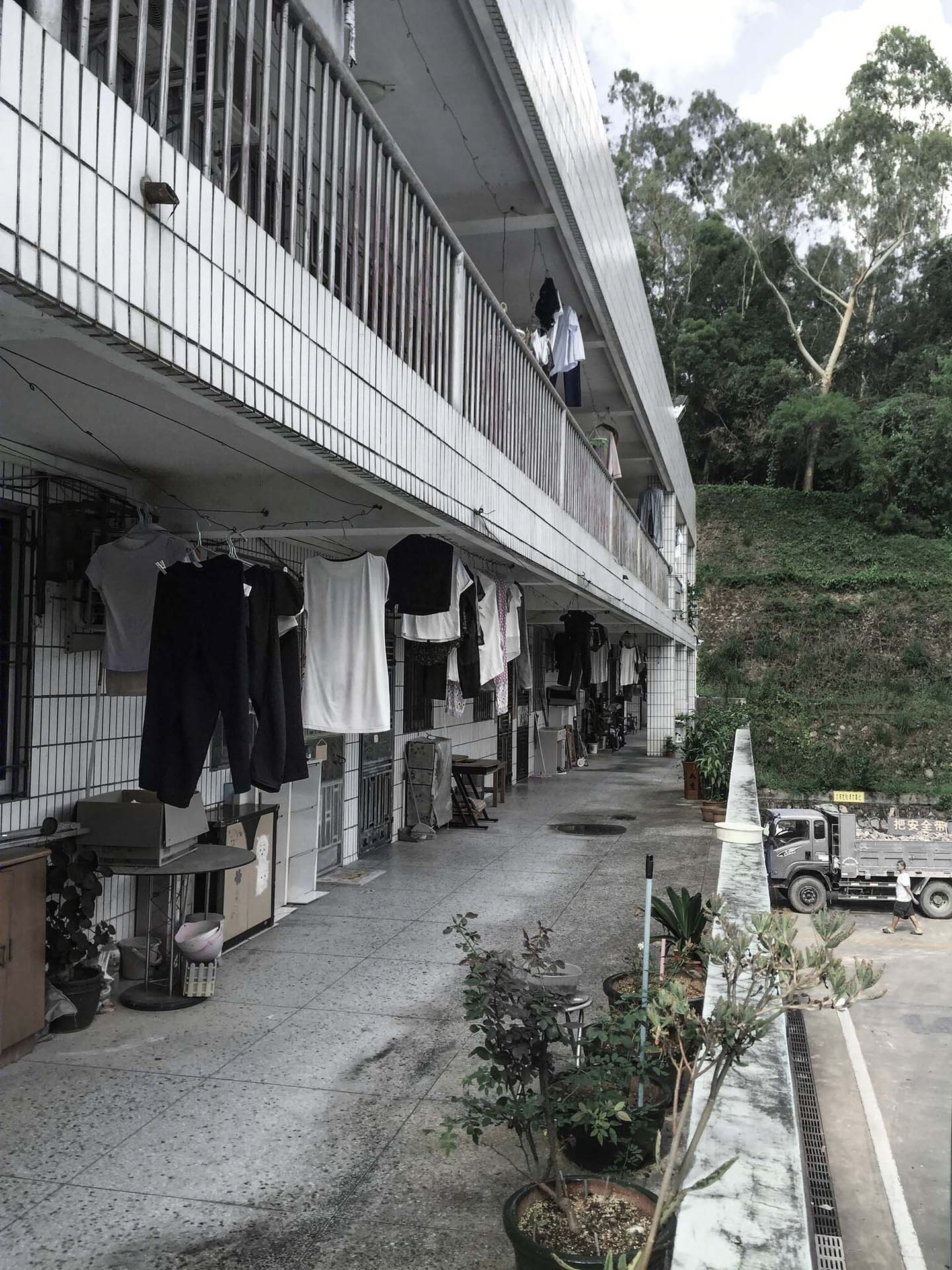 深圳莲华山公交车站的绿色革新-22