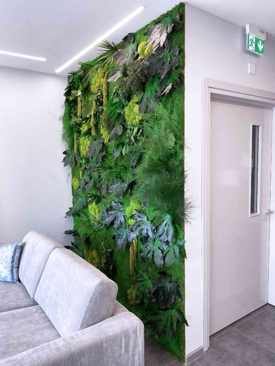 GREEN WALLS for ALLTECH INVESTMENTS-7