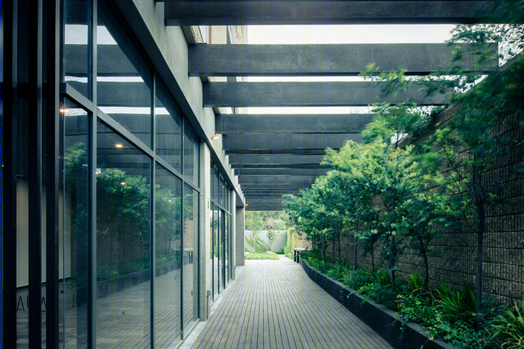 墨西哥 Querétaro 市 AIRA 公寓楼——垂直绿化与私密空间的融合-43
