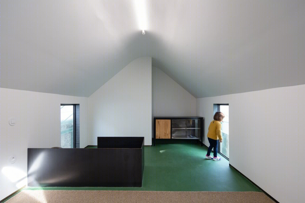 波尔图绿意盎然的老宅新生-46