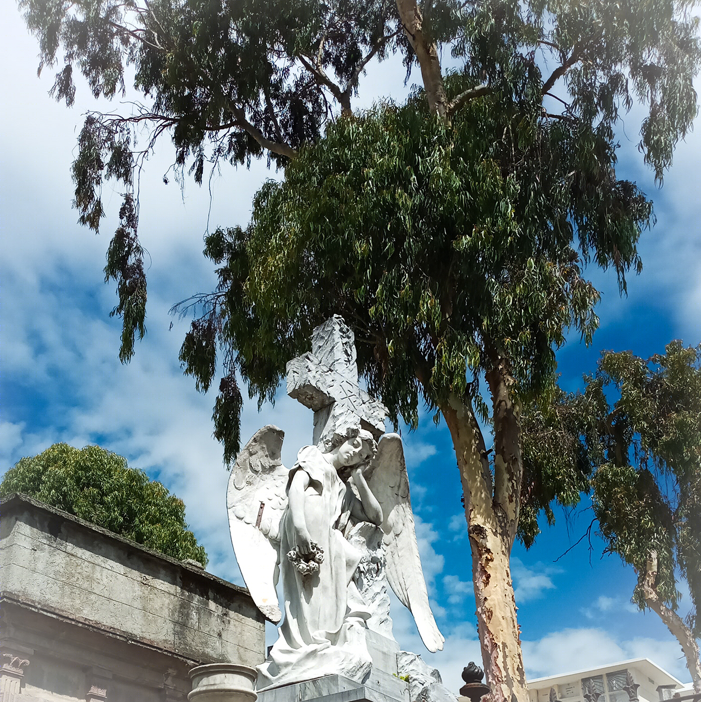 A las puertas del cielo-8