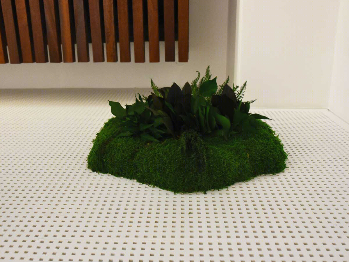 CONVEX MOSS + FOLIAGE SHAPES for NEDIBRAVE-4