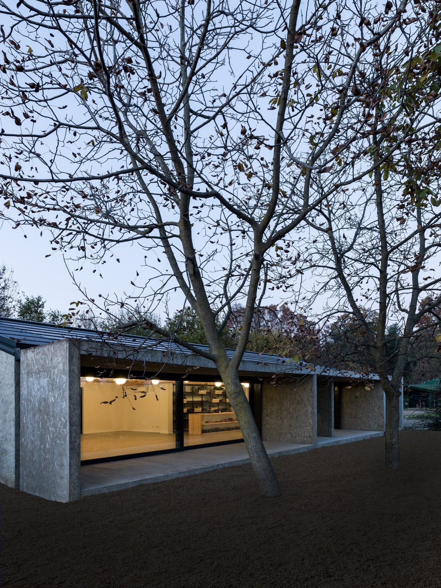 意大利布雷达纳农业展览馆-24