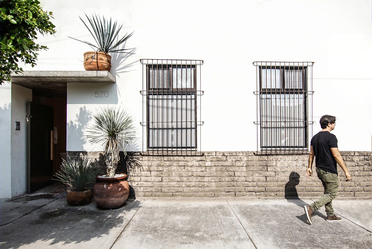 Ceiba House 扩建-67