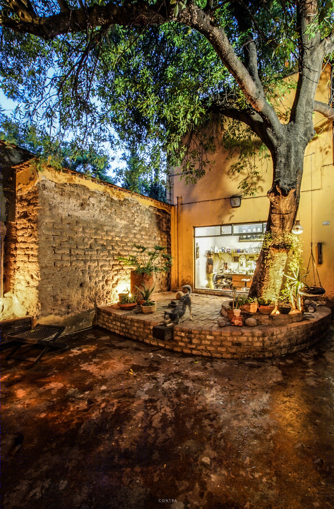 Ceiba House 扩建-68