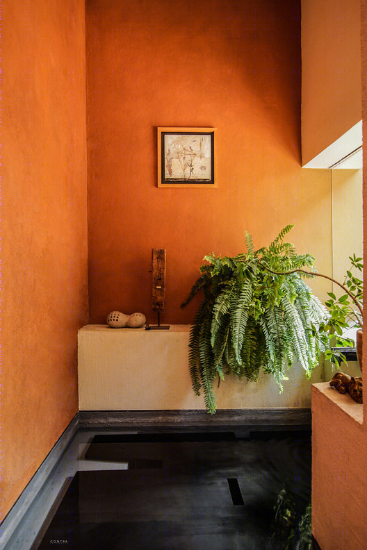 Ceiba House 扩建-71