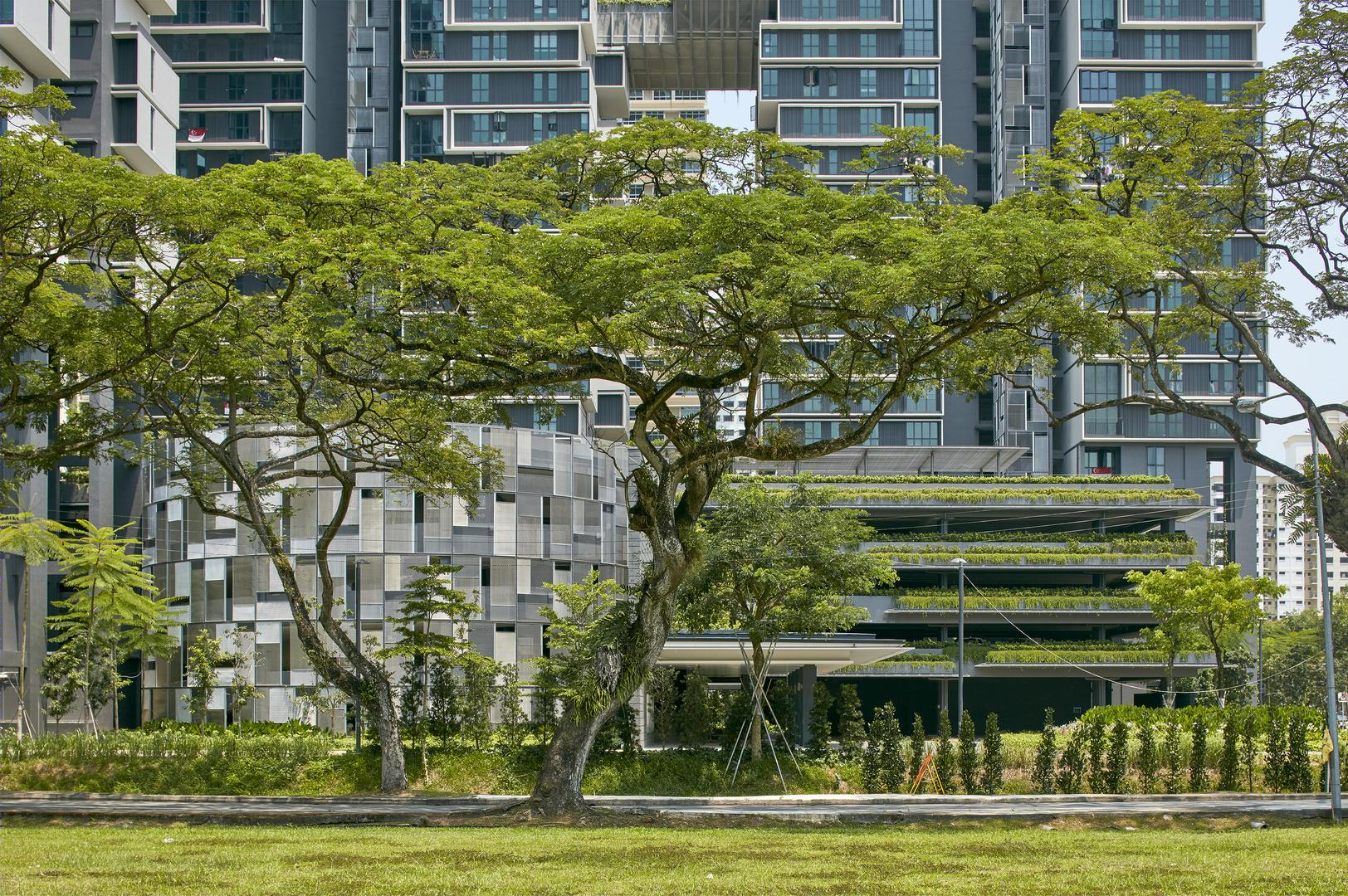 新加坡SkyTerrace Dawson-6