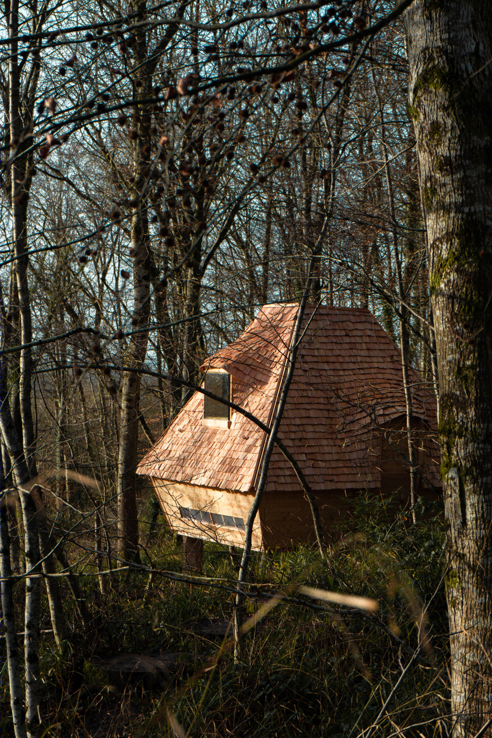 英国林地小屋 · 2020 · AA Design and Make-17