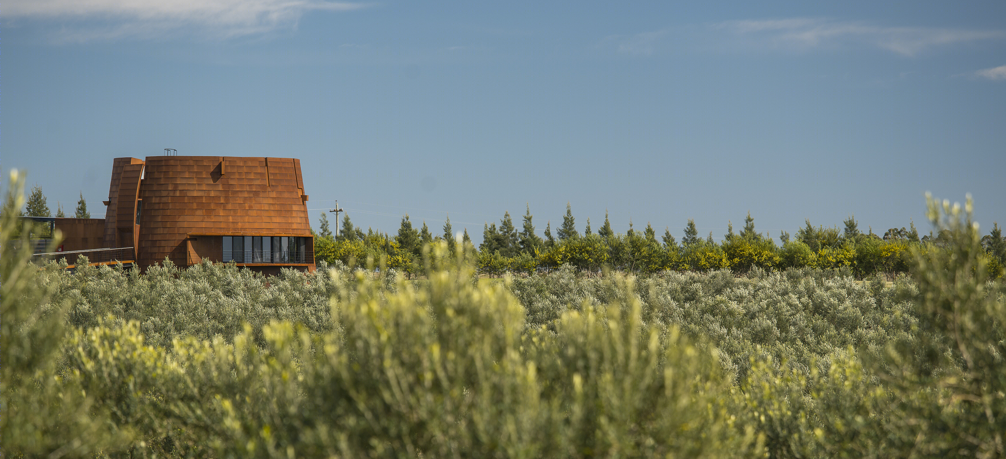 Oceánica José Ignacio O'33 酒庄-11