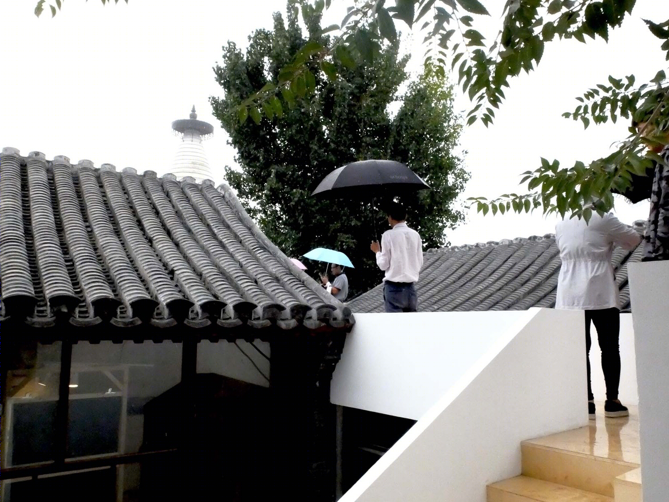 北京胡同共享庭院-59