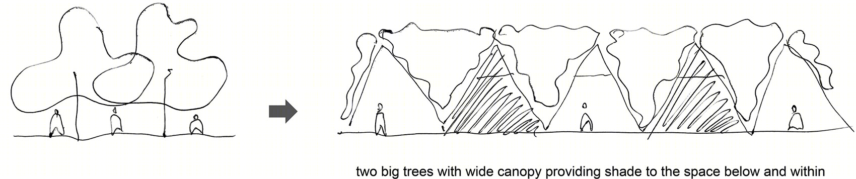 越南农村学校卫生设施二期 | 竹管支架的绿色环保设计-6