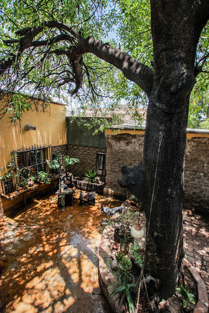 Ceiba House 扩建-73