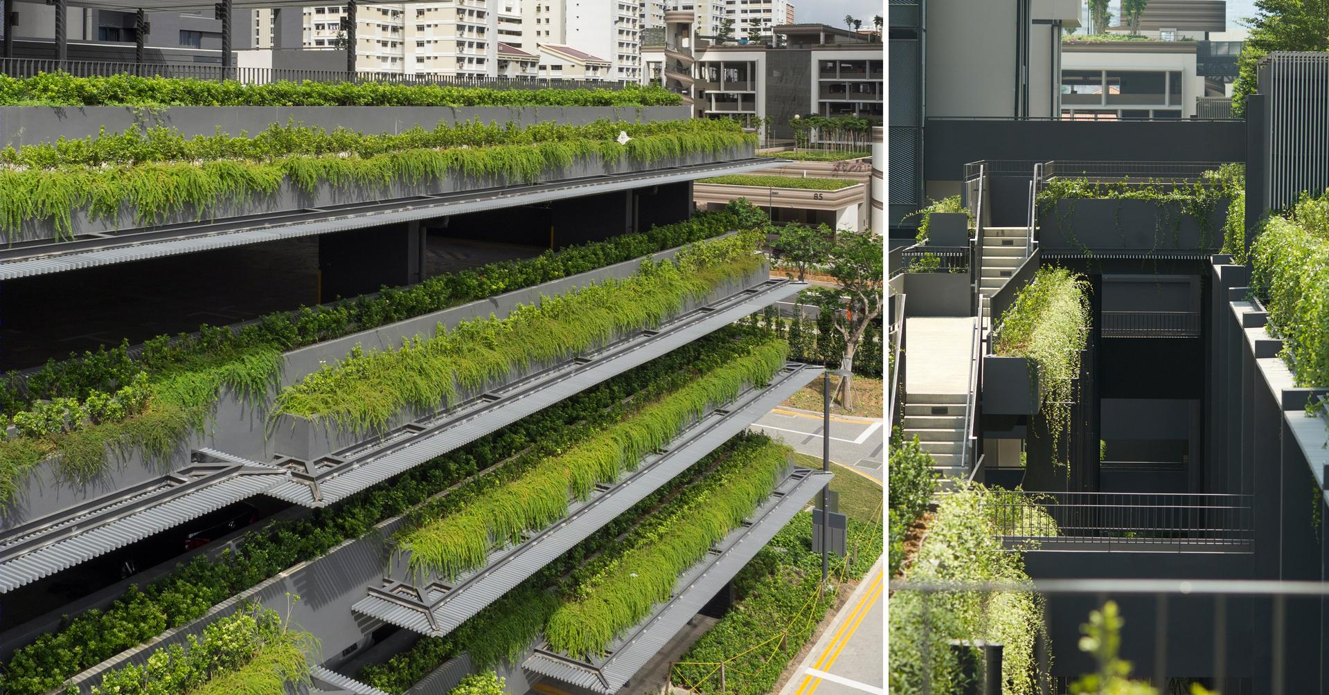 新加坡SkyTerrace Dawson-9