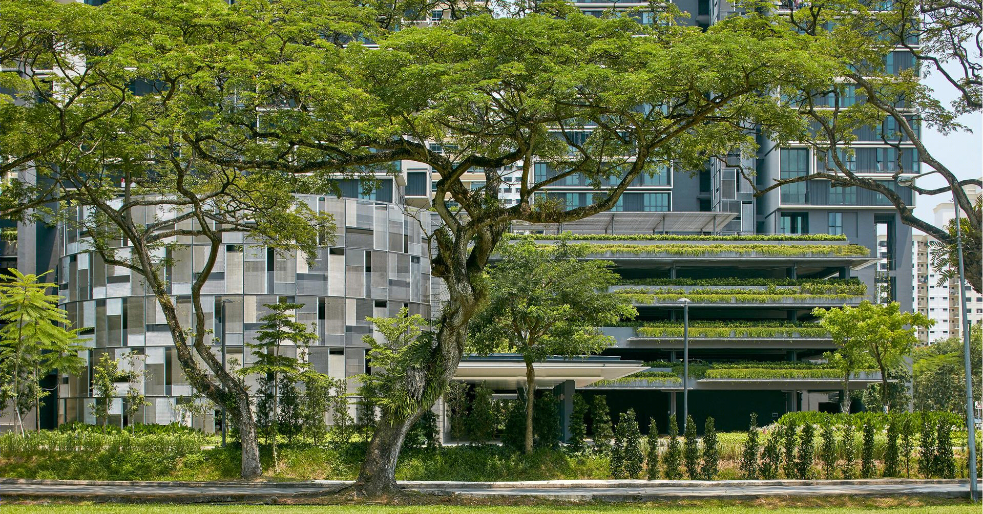 新加坡SkyTerrace Dawson-10