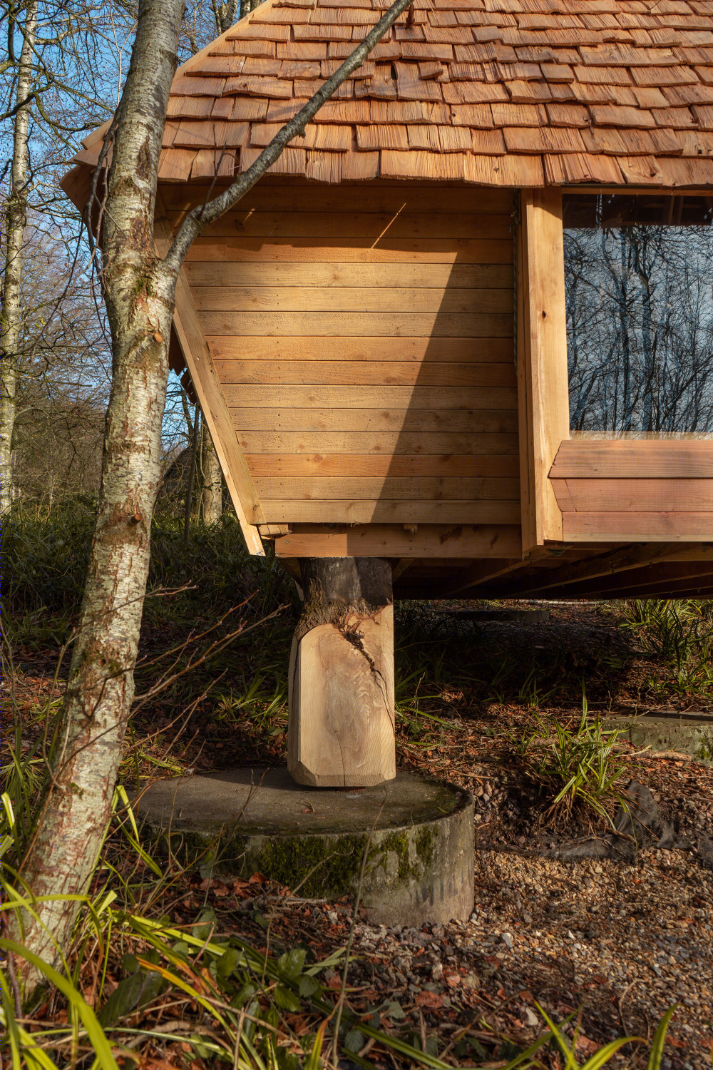 英国林地小屋 · 2020 · AA Design and Make-18