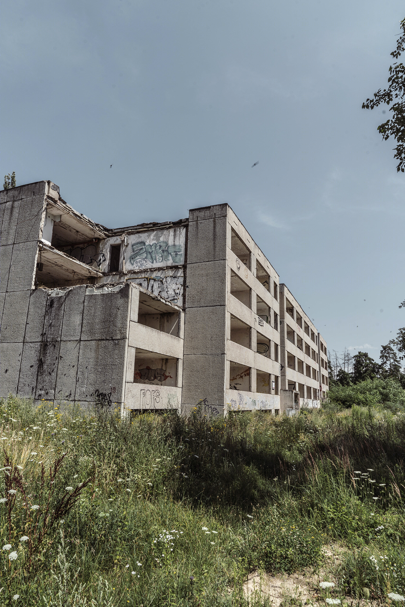 Abandonment-1