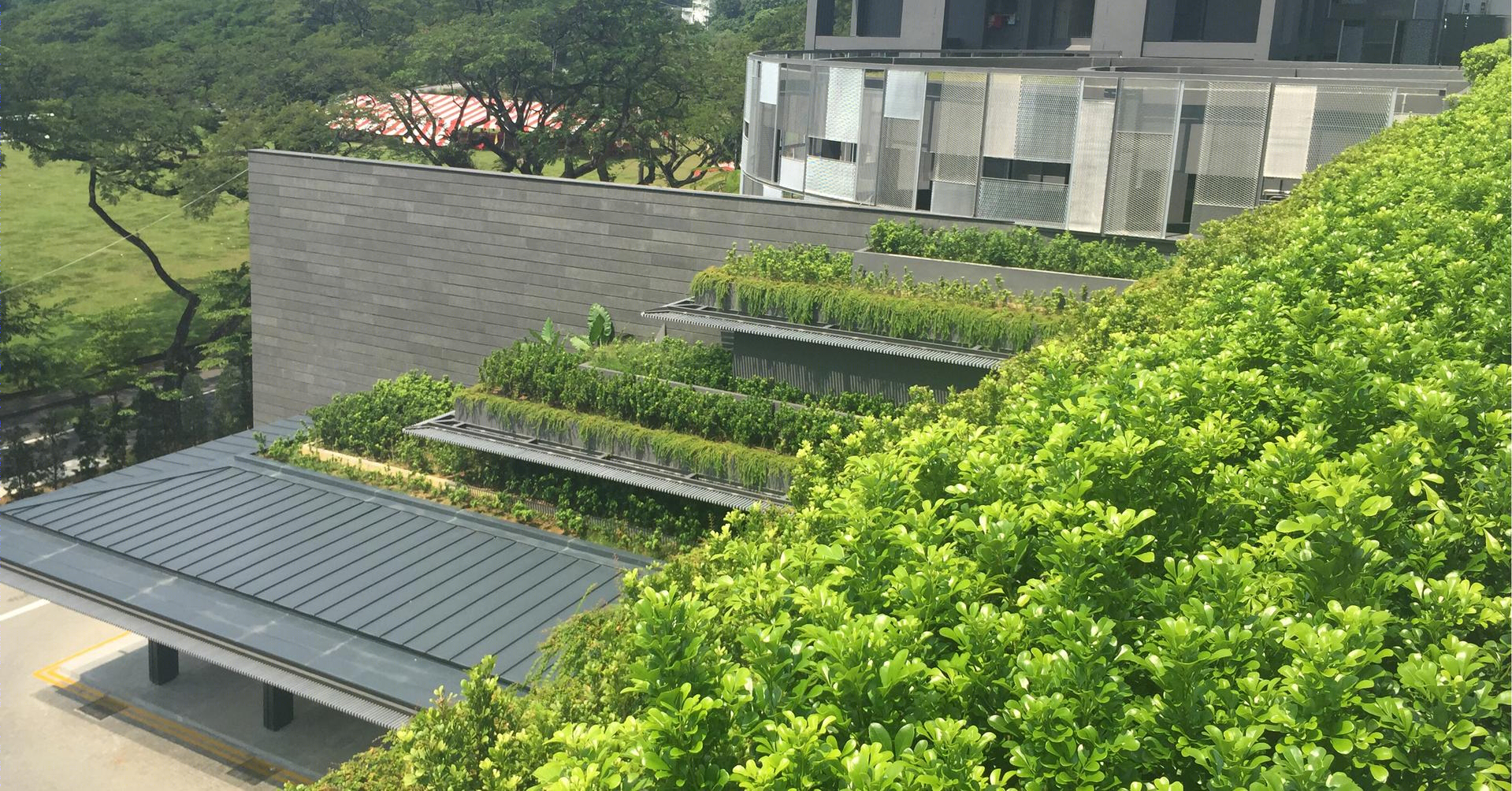 新加坡SkyTerrace Dawson-11