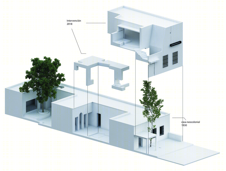 Ceiba House 扩建-77