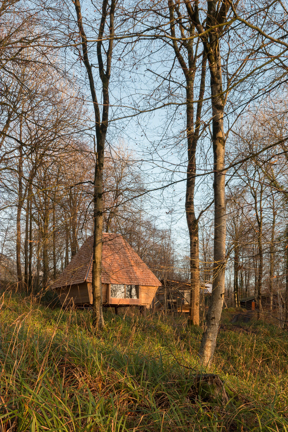 英国林地小屋 · 2020 · AA Design and Make-19