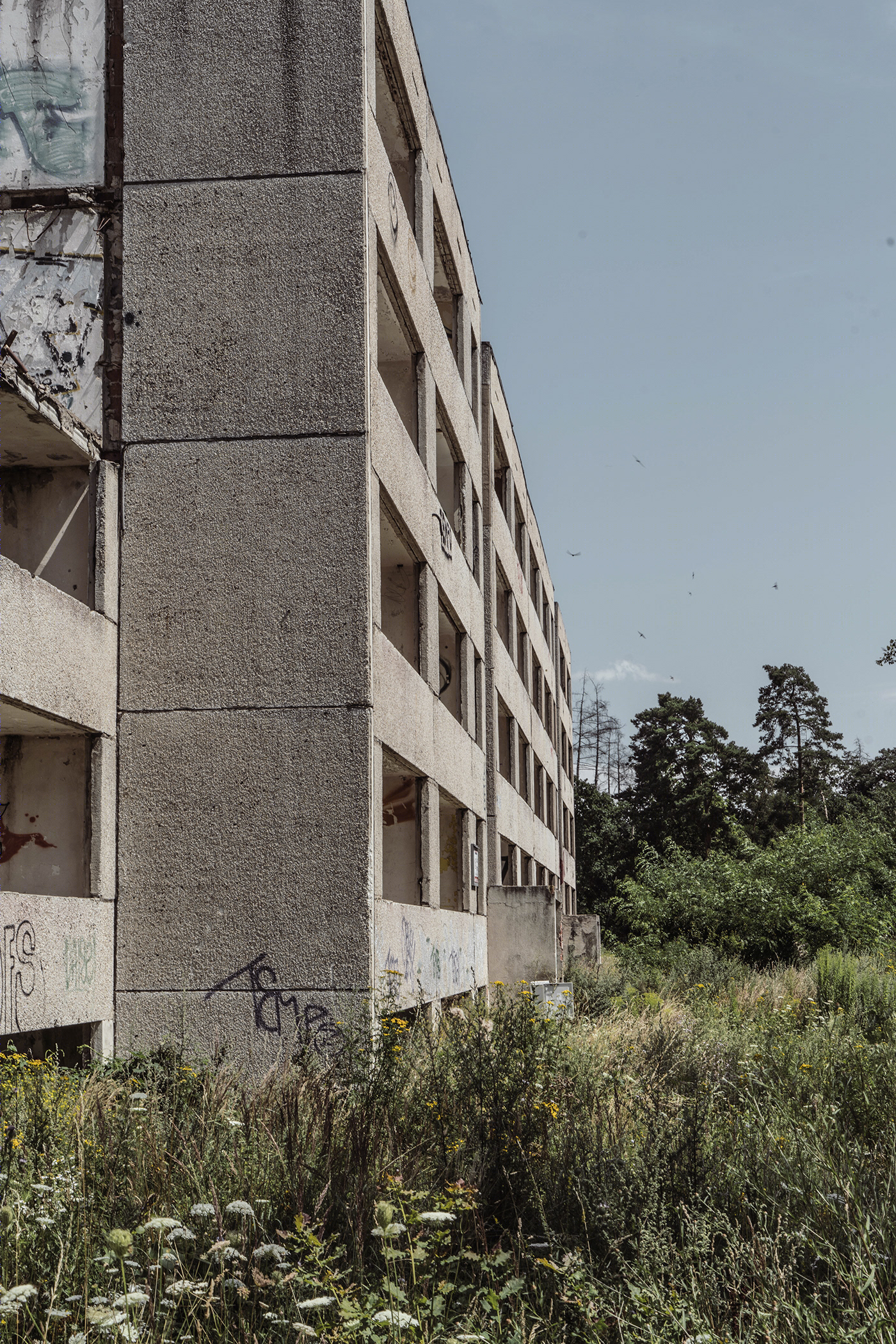 Abandonment-3