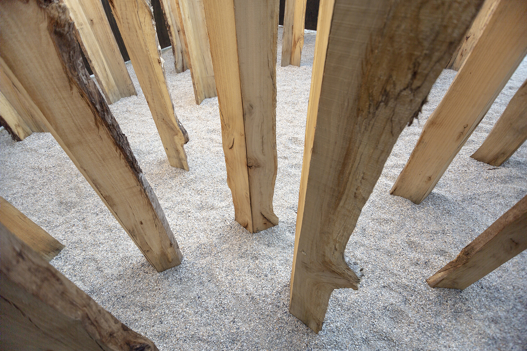 澳大利亚奥尔伯里夏日凉亭丨Akimbo Architecture 事务所-23