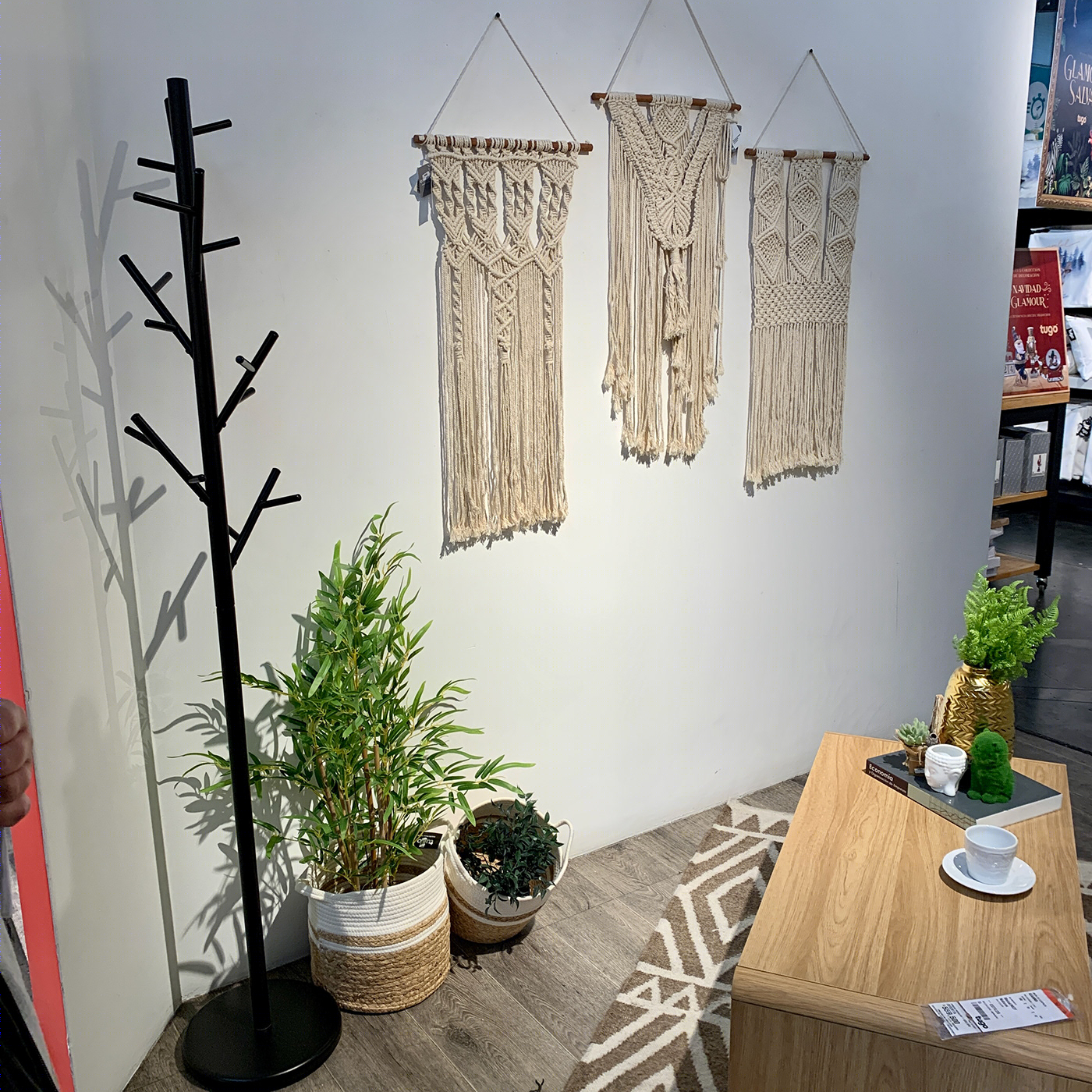 Anastasiya Gushchina丨 Sofa Cama Kalua-1