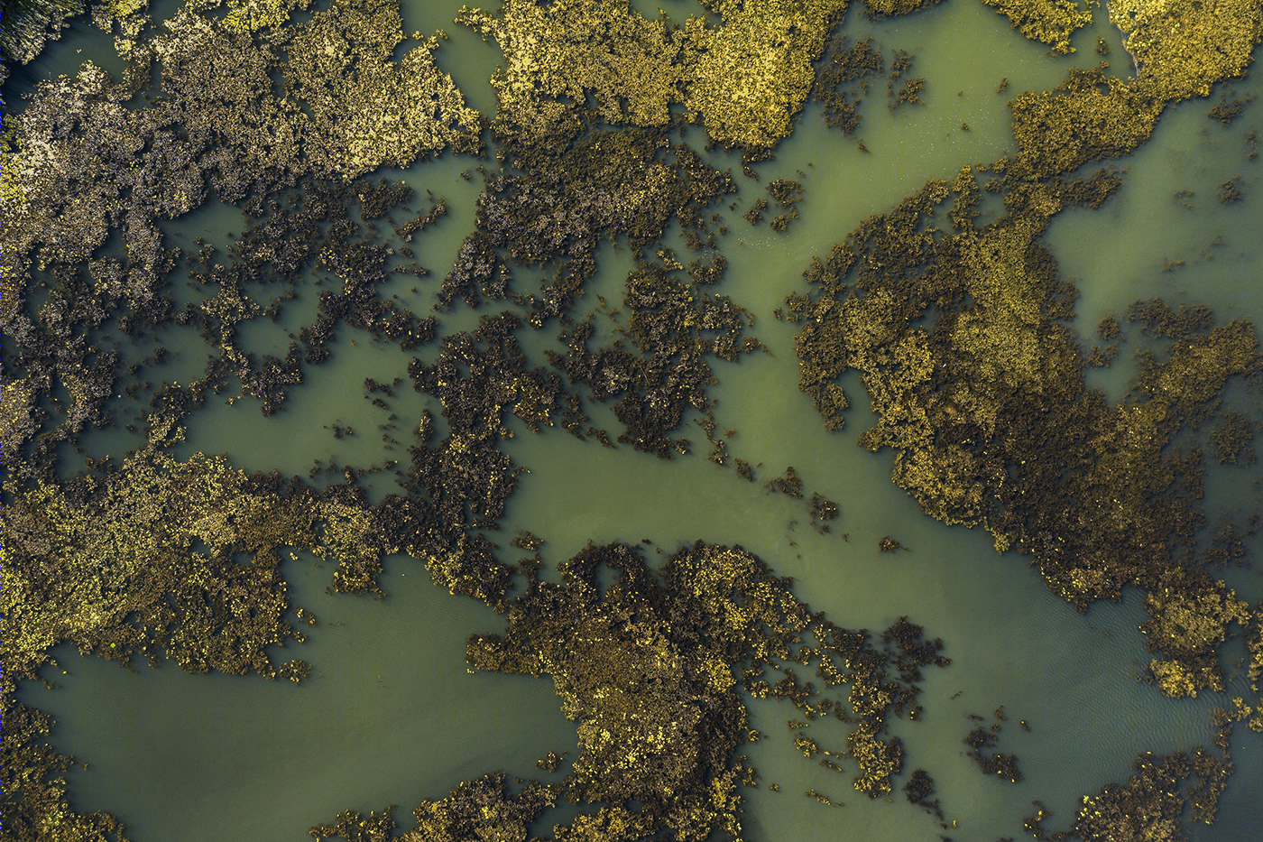 匈牙利 Lake Tisza 湖泊景观设计丨Szabó Viktor-0