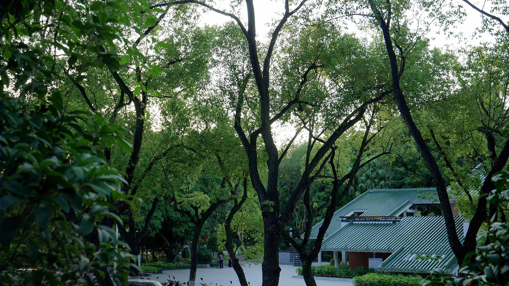 汲古山房丨中国江门丨华南农业大学•风景园林设计研究院•新岭南园林设计研究所-10