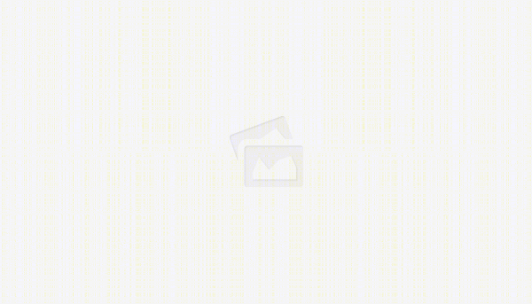 Moscow Region 展览设计 2020丨俄罗斯莫斯科丨米哈伊尔·斯塔尔采夫-1