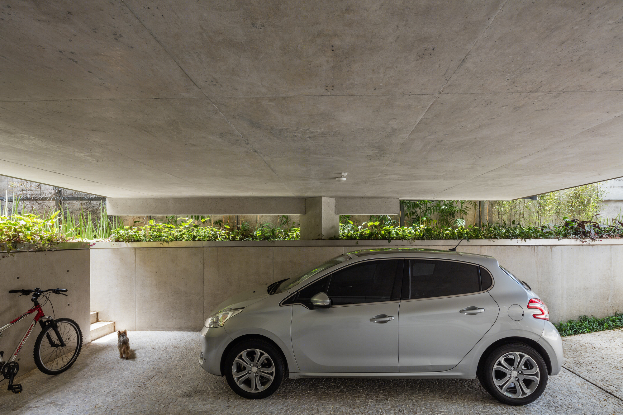 树顶漫步·SPBR Arquitetos 的巴西绿色别墅设计-23