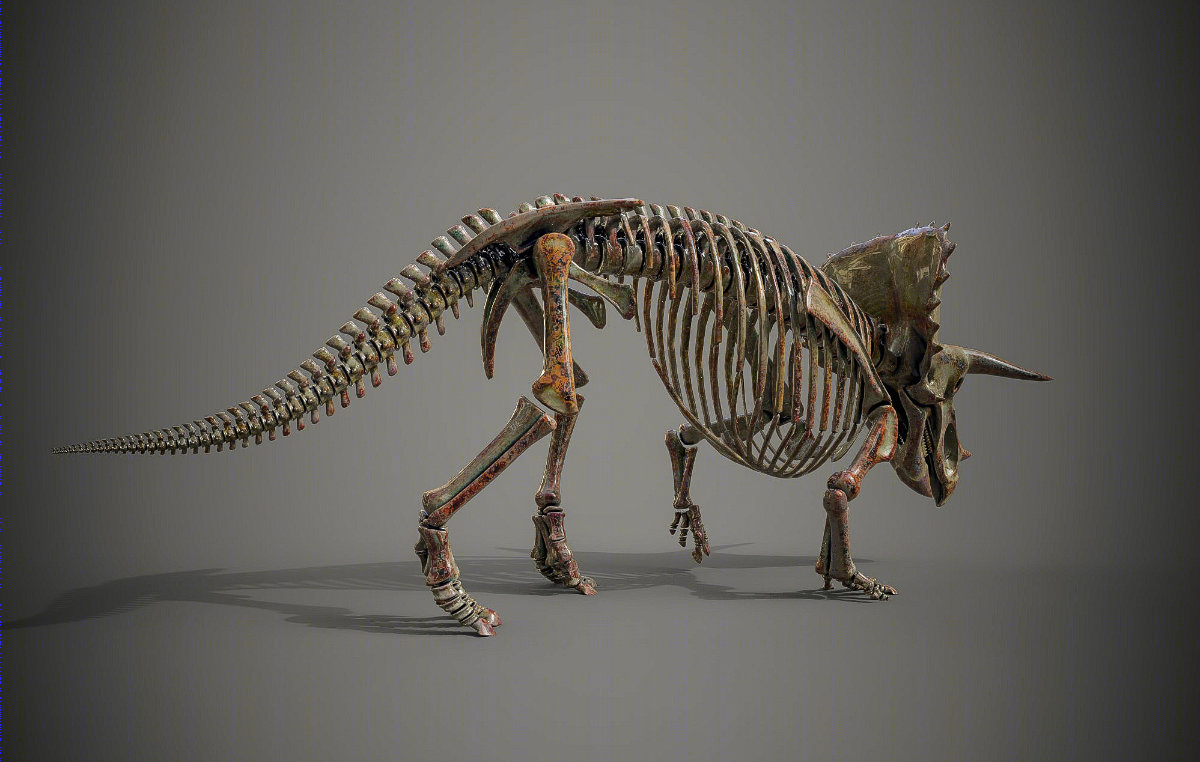 虚拟 3D 概念展厅丨个人-39