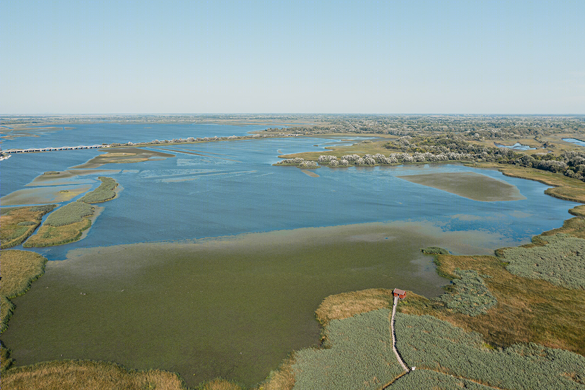 匈牙利 Lake Tisza 湖泊景观设计丨Szabó Viktor-1