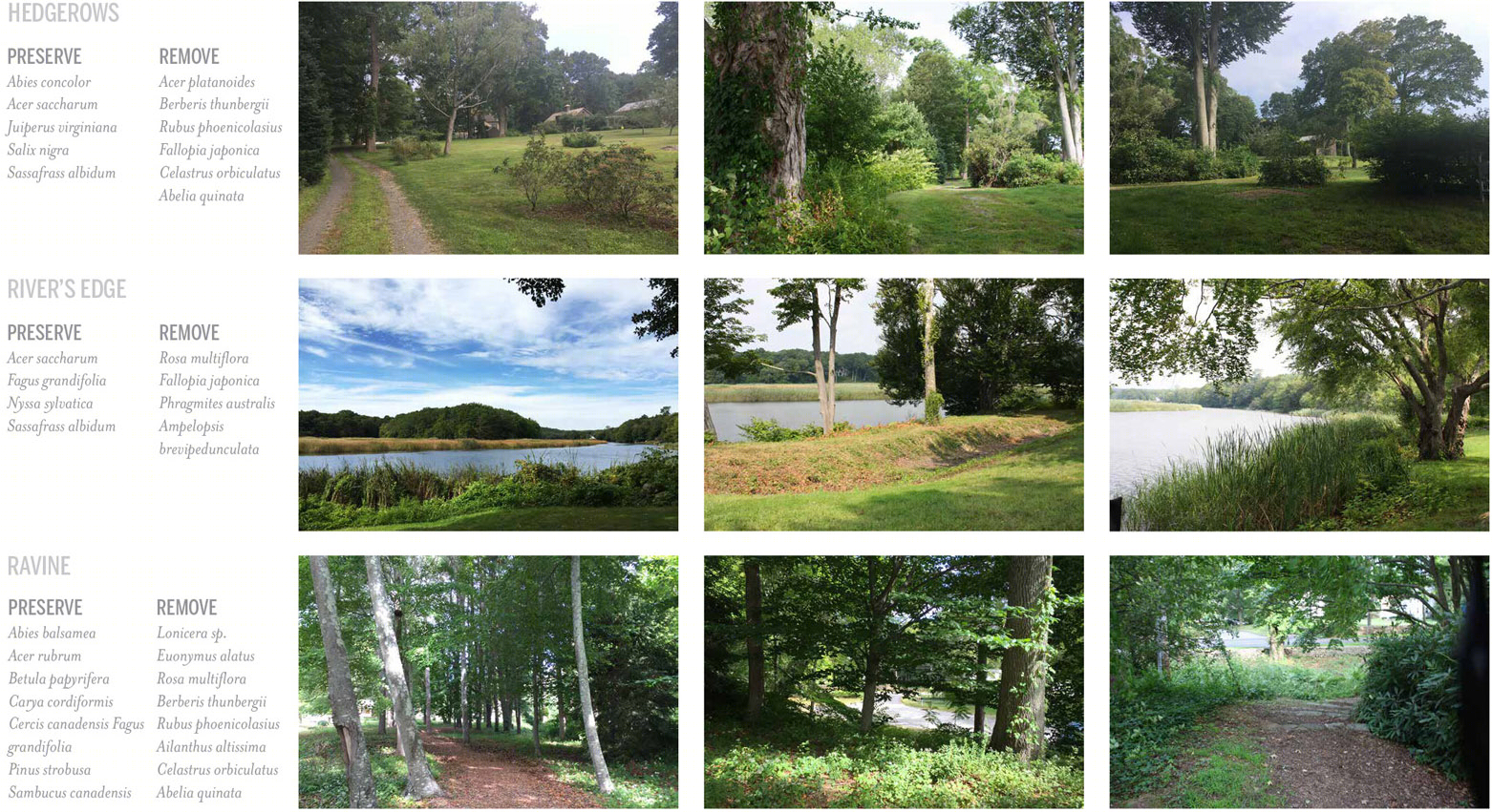 艺术家步道 | 美国康涅狄格州博物馆景观总体规划-21