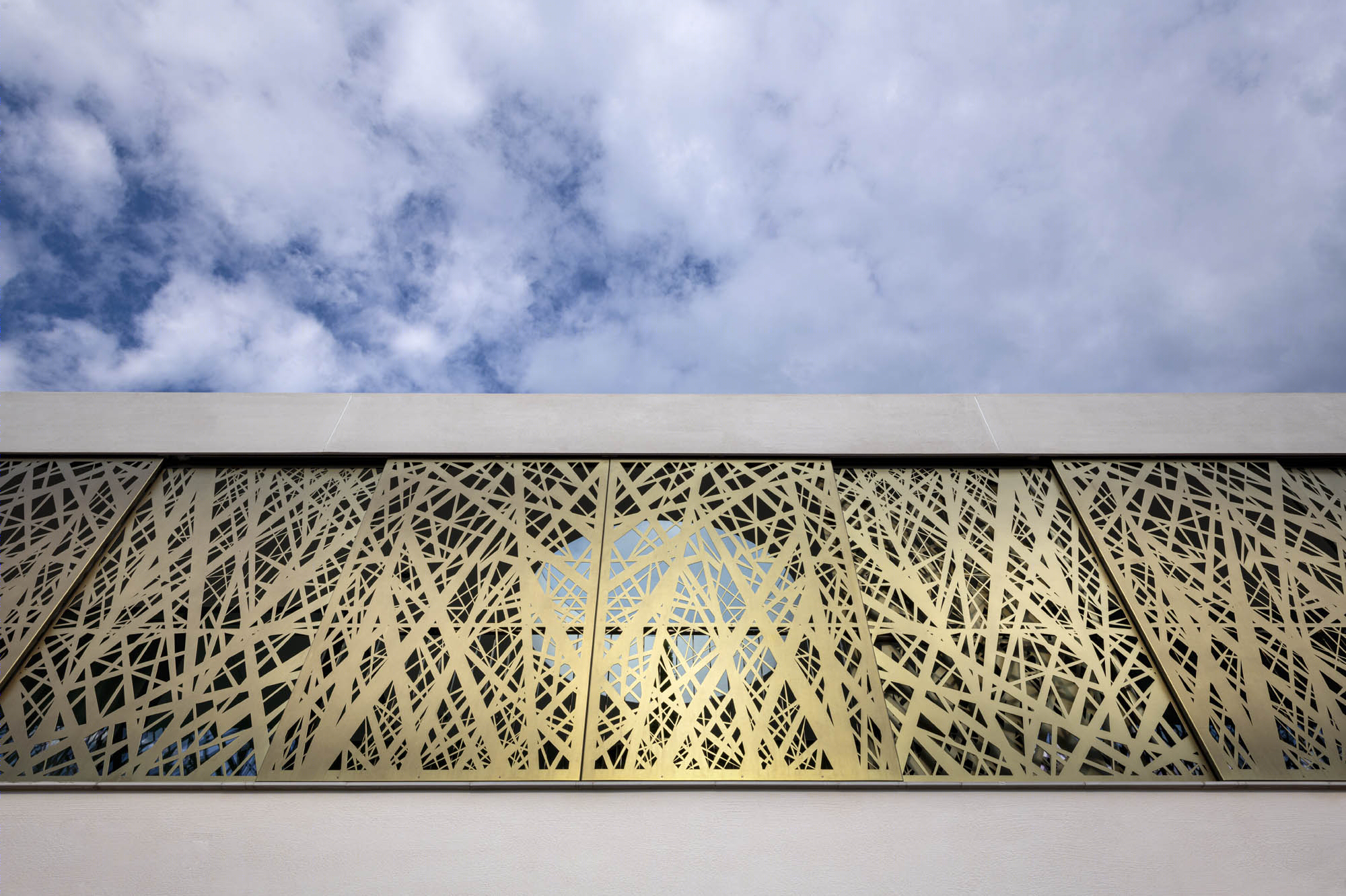 三世代共享家园 · House P2 绿色线性景观别墅丨monovolume architecture + design-5